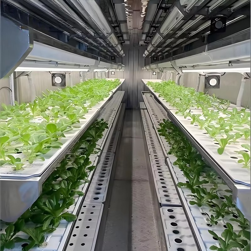 Smart Planting Container Verti - Urban Farming Hydroponic System 评论和价格