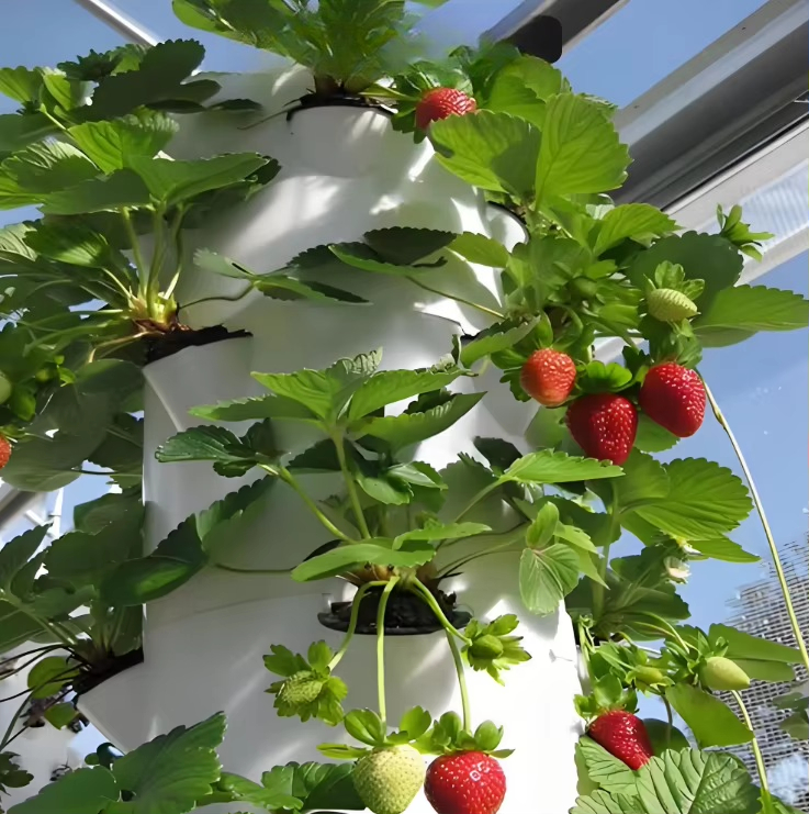 Modular hydroponic growth wall - Urban Farming Hydroponic System 评论和价格