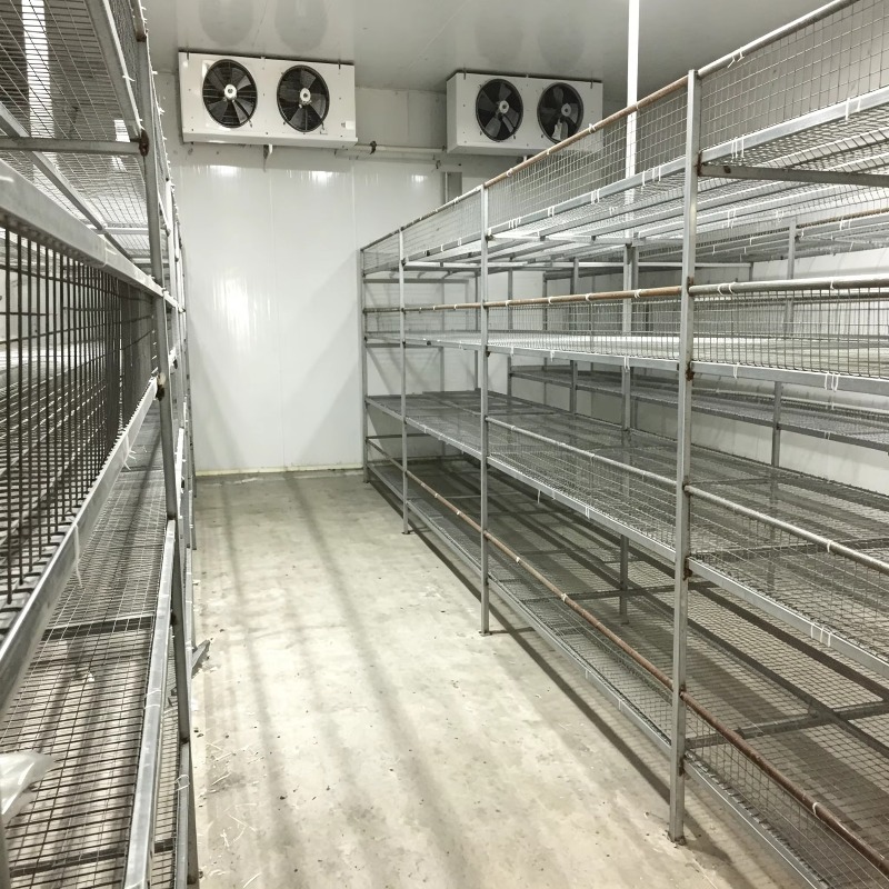 Hydroponic Container Farm with - Urban Farming Hydroponic System 评论和价格