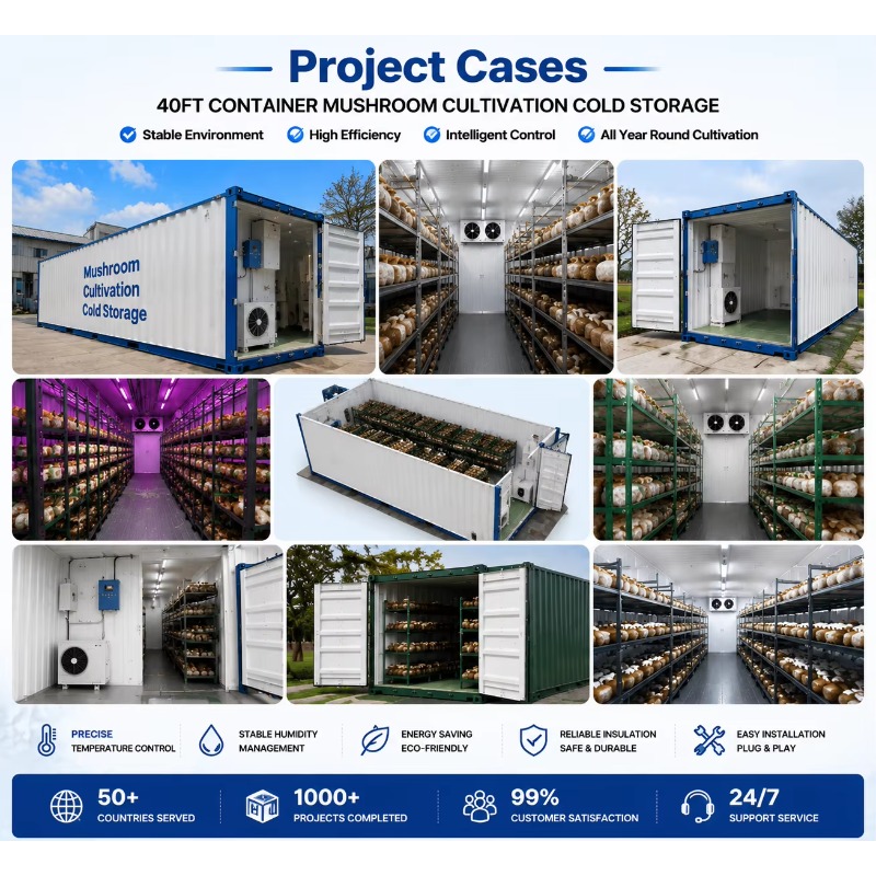 Hydroponic Container Farm with - Urban Farming Hydroponic System 评论和价格