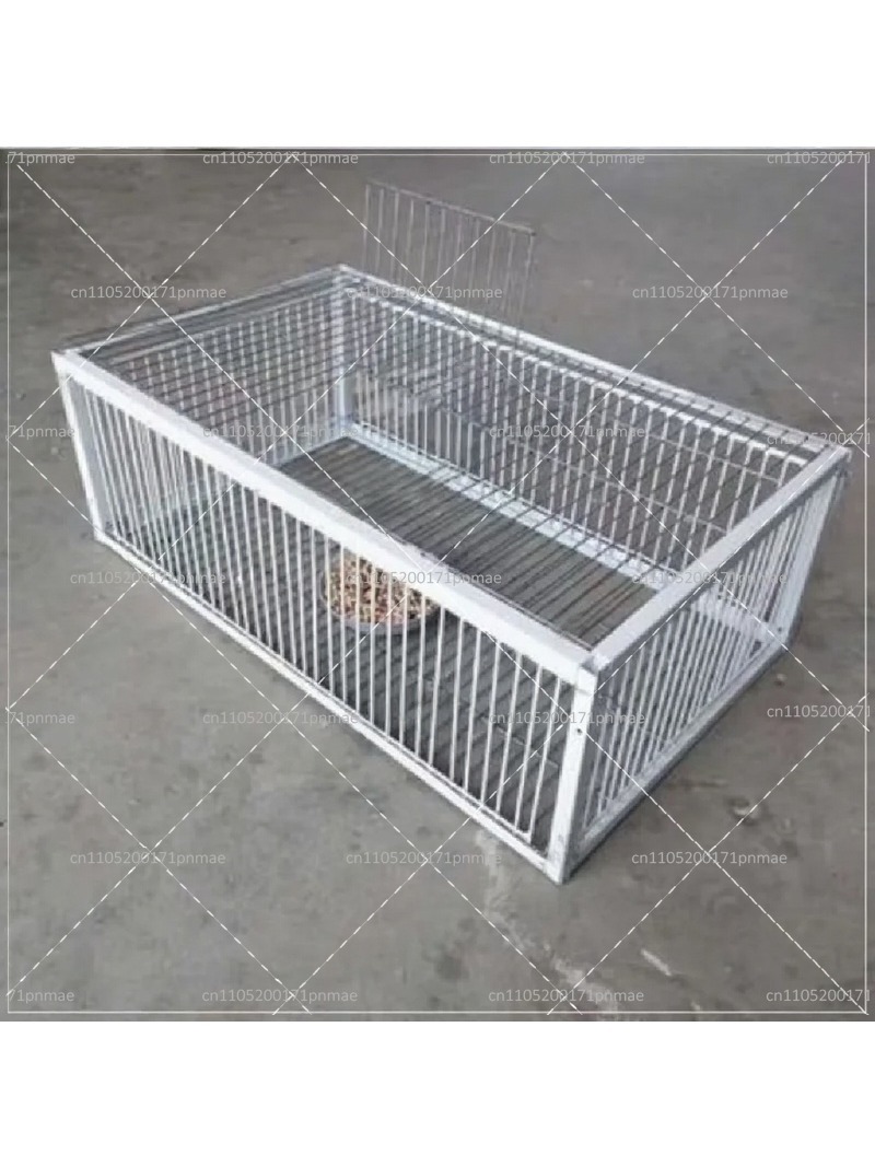 Professional Multifunctional B - Urban Farming Urban Gardening 评论和价格