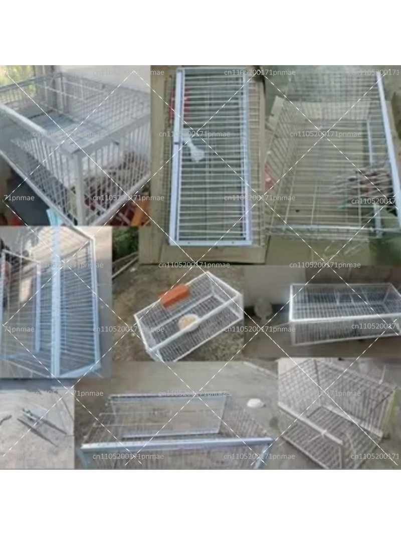 Professional Multifunctional B - Urban Farming Urban Gardening 评论和价格