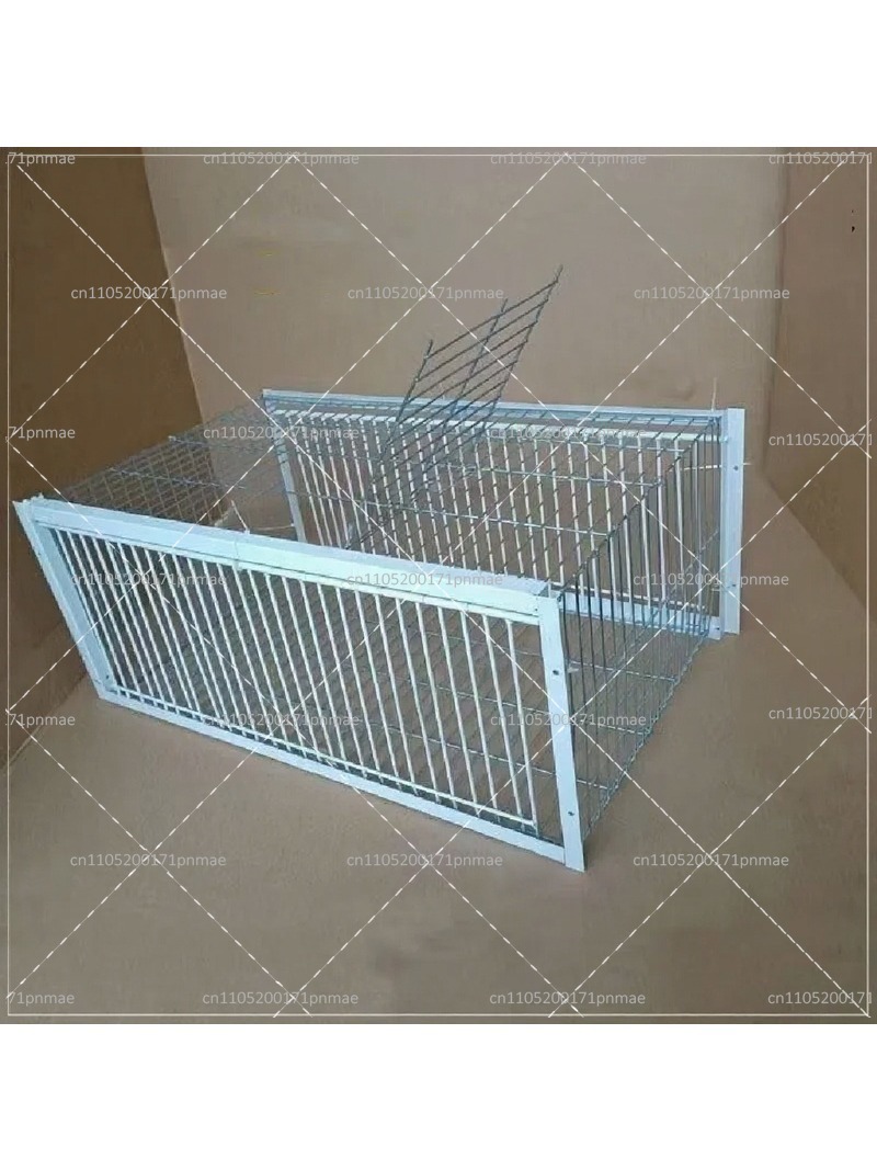 Professional Multifunctional B - Urban Farming Urban Gardening 评论和价格